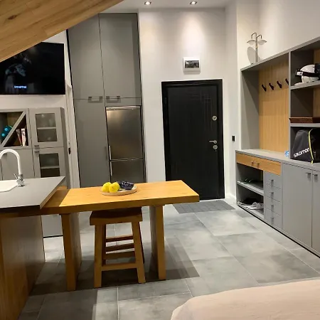 公寓 Golden Box 潘波洛沃