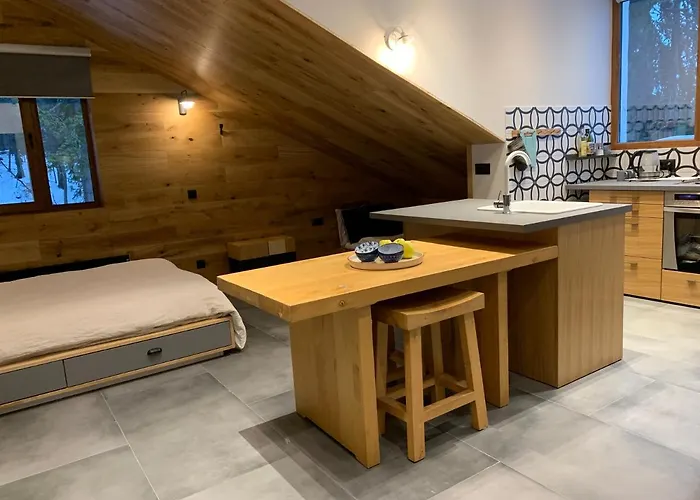 公寓 Golden Box 潘波洛沃